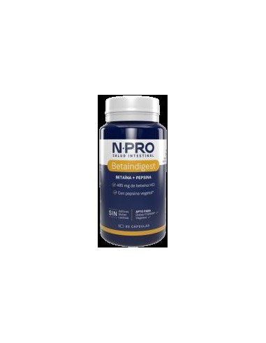 PAN RUSTICO KAMUT INT. BIO 450 GR.